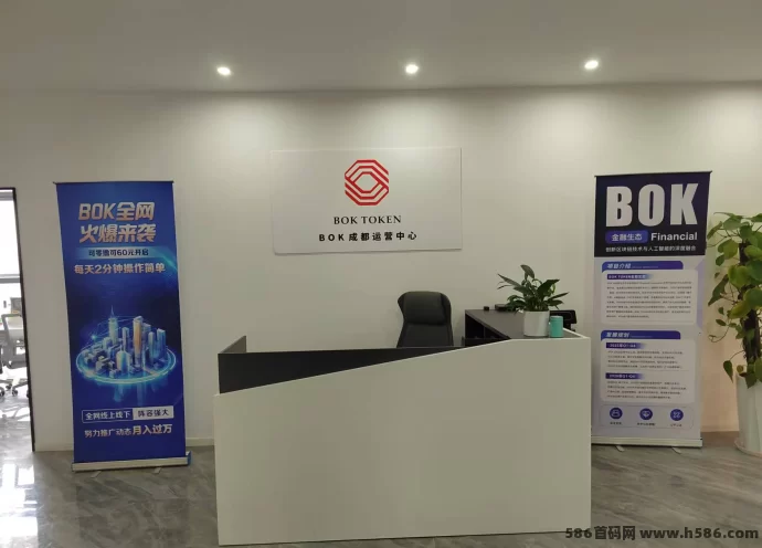 2025年初巨制！《BOK》用顶级思维铸造无限可能！(8)