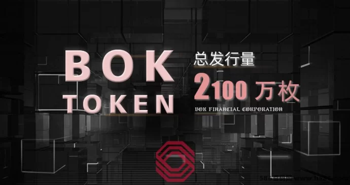 2025年初巨制！《BOK》用顶级思维铸造无限可能！(3)