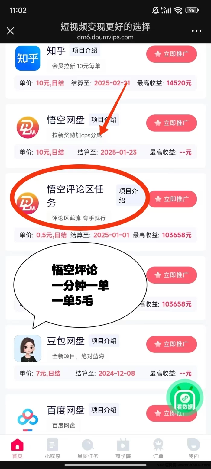 抖啦咪悟空评论项目：利用碎片时间轻松赚取零花钱！(2)