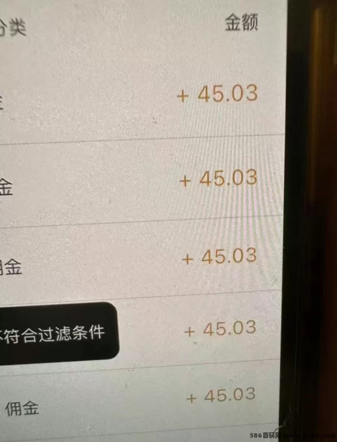 电商搬砖：全天可操作，稳定高效的赚米新模式！(3)