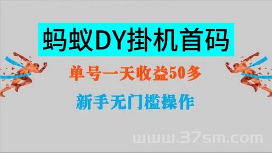 大蚂蚁牌实用新型挂机！稳定如泰山(1)