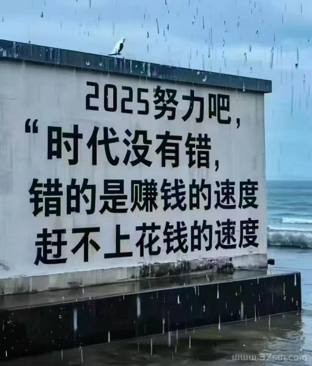 先转无忧：团队可扶持，轻松赚取积分，开启每日躺赚模式！(4)