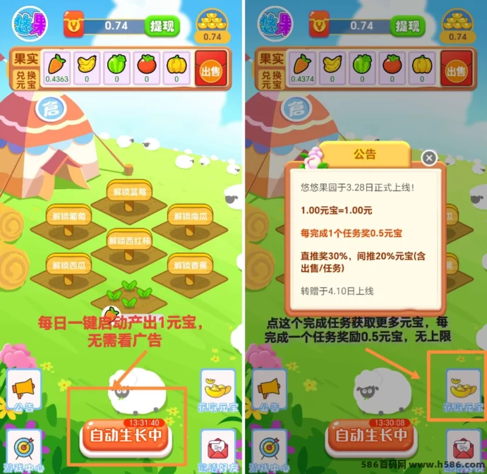 悠悠果园首码上线，纯净体验，无广告！(2)