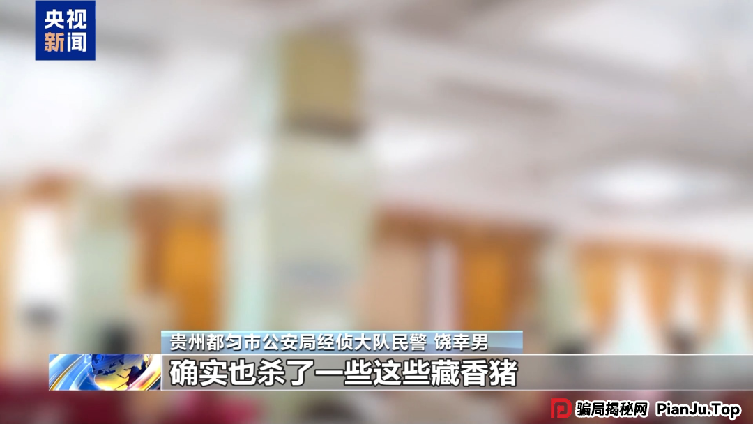 【金融普法】假养猪 真骗局 警惕披着“云养经济”外衣的非法集资(1) 【金融普法】假养猪 真骗局 警惕披着“云养经济”外衣的非法集资(1)