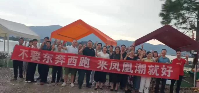 多元赚米模式,凤凰潮零撸快赚助力团队月入轻松破十万!(1) 多元赚米模式,凤凰潮零撸快赚助力团队月入轻松破十万!(1)