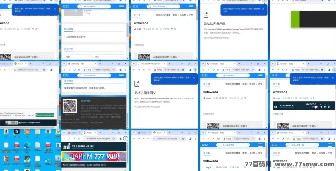 卢波网页广告自动掘金项目揭秘：单窗口稳定日入50+，零基础可上手操作！(3)